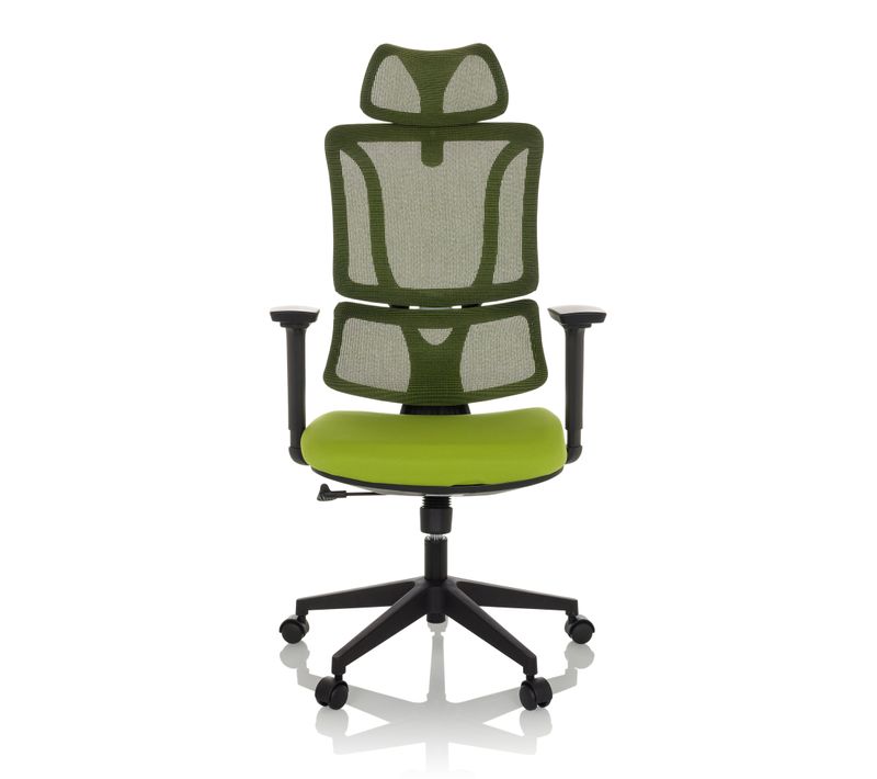 Chaise De Bureau Ergomy Tissu / Tissu Maille Vert Avec Accoudoirs (réglables En Hauteur)