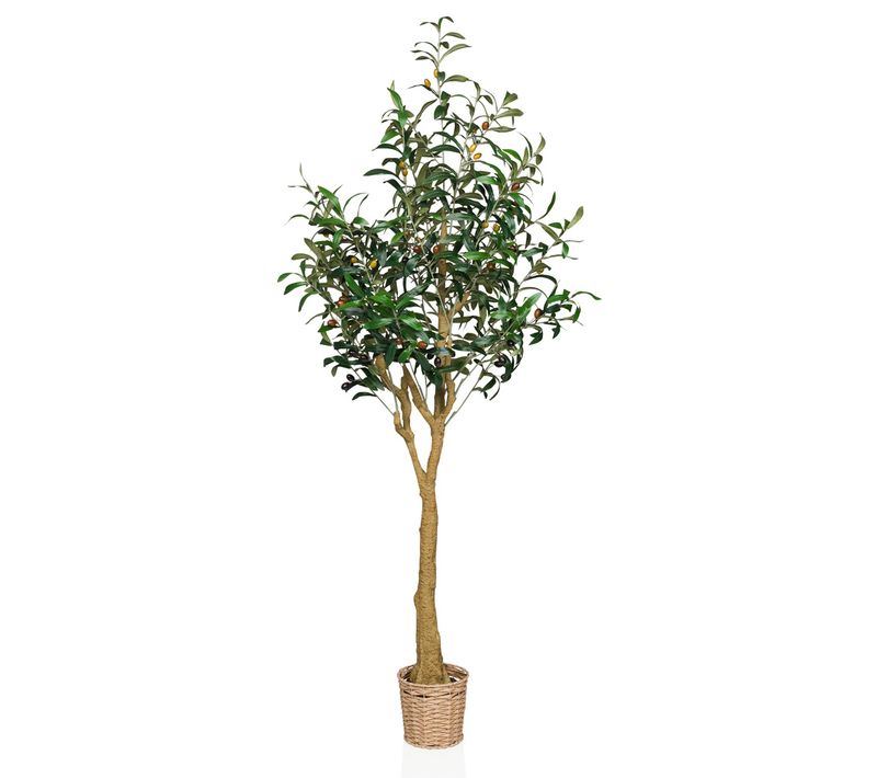 Plante Artificielle Olive H 150.00 Cm Vert