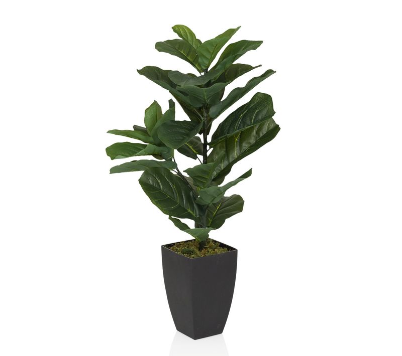 Plante Artificielle Figue H 80.00 Cm Vert