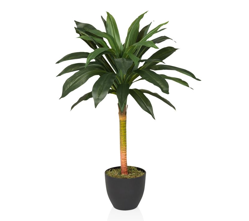 Plante Artificielle Dragonnier H 85.00 Cm Vert