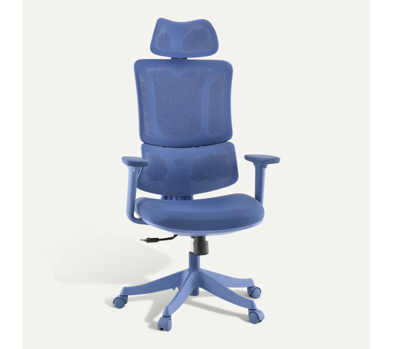 Chaise De Bureau Ergomy Colore Tissu / Tissu Maille Bleu Avec Accoudoirs (réglables En Hauteur)