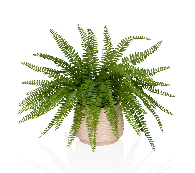 Plante Artificielle Fougère De Boston H 40.00 Cm Vert