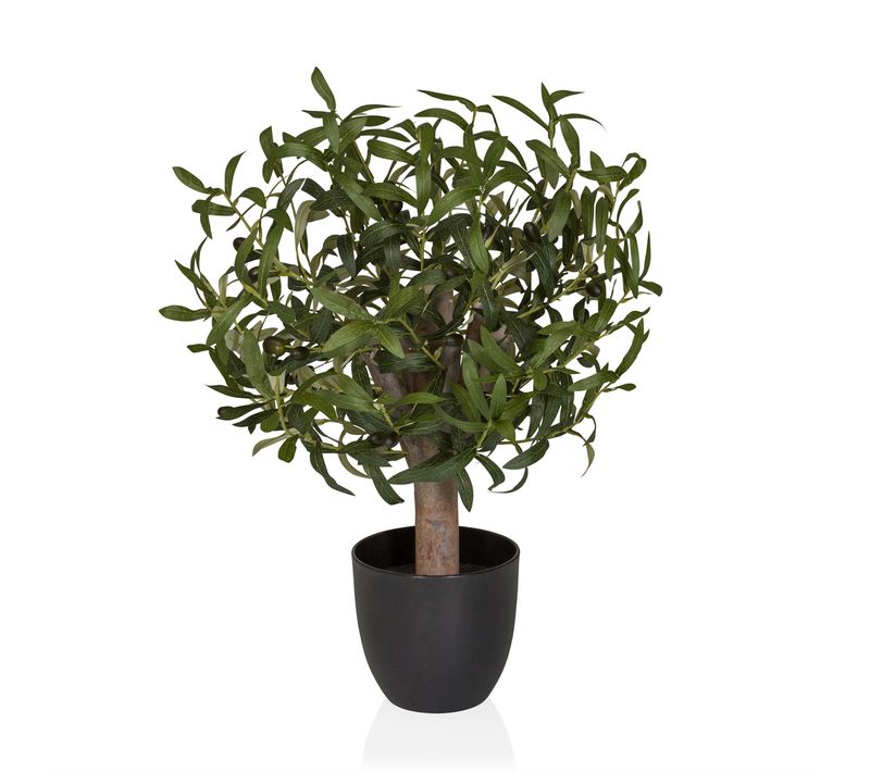 Plante Artificielle Olive H 70.00 Cm Vert