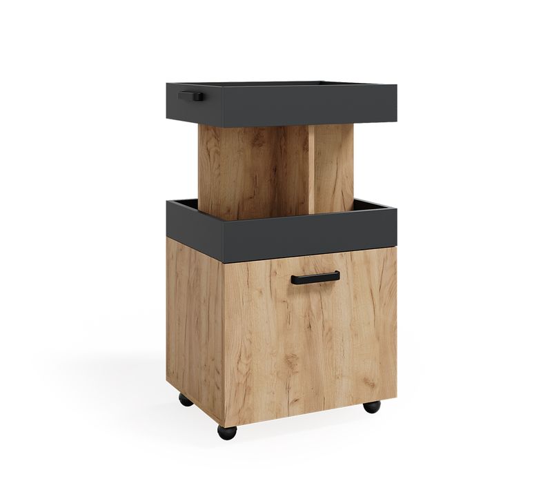 Caisson à Roulettes 37510 Chêne De Force Doré 50x88.6cm