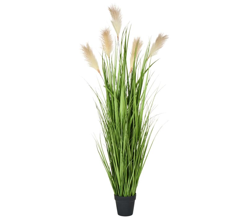 Plante Artificielle Pampas Grass 130 Cm Vert