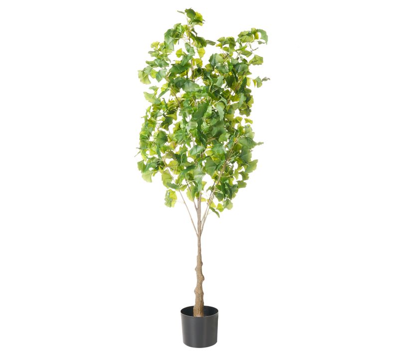 Plante Artificielle Ginkgo Tree 150 Cm Vert