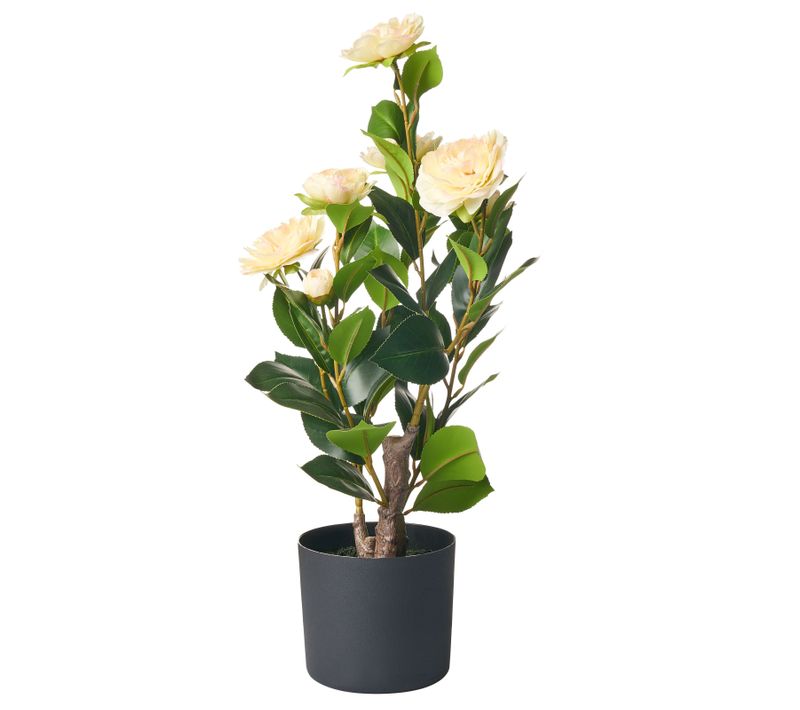 Plante Artificielle Camellia 60 Cm Vert