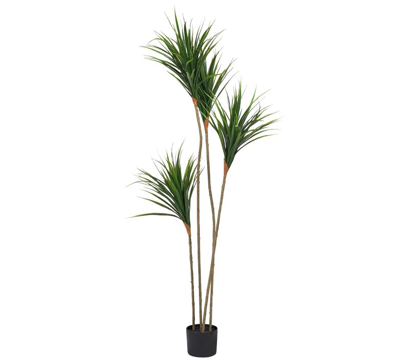 Plante Artificielle Dracaena Draco 165 Cm Vert