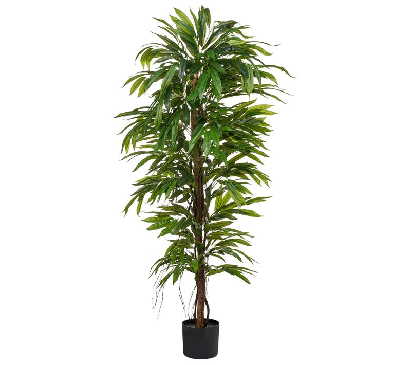 Plante Artificielle Longifolia 155 Cm Vert