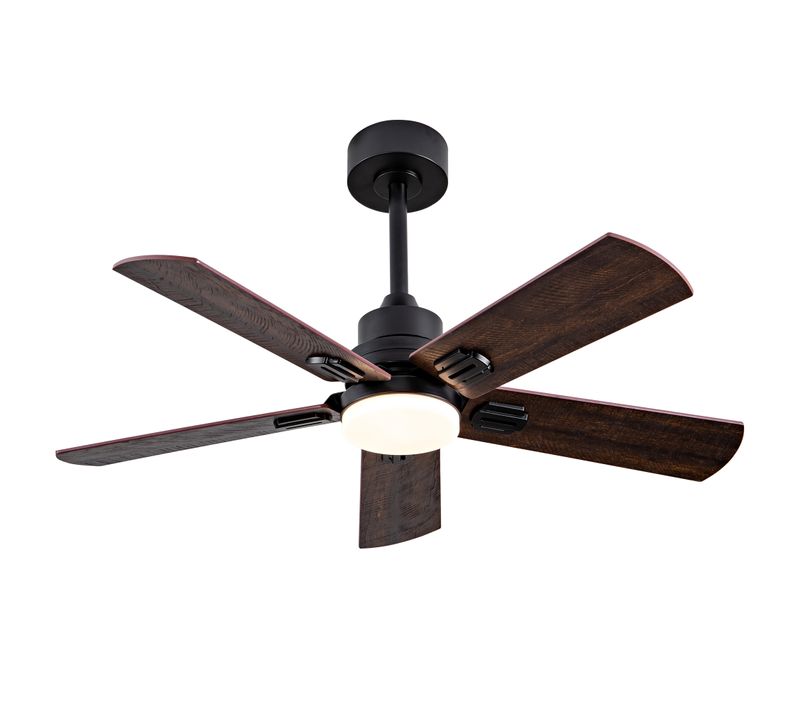 Ventilateur De Plafond Extérieur Lumineux 42 Pouces, 5 Pales Bois, Télécommande, Noir + Noyer Foncé