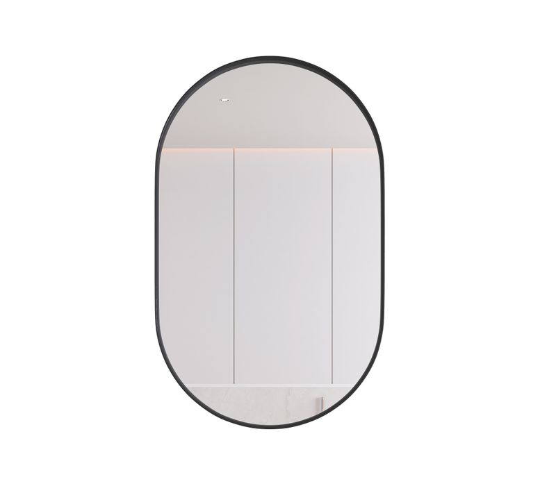 Armoire à Miroir Ovale Murale, Étagères Réglables, Salle De Bain, Noir