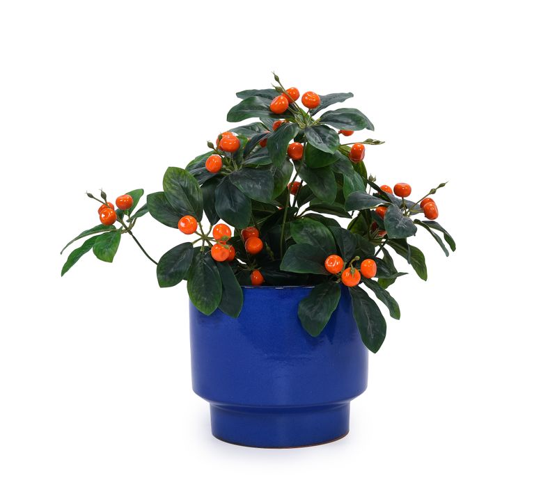 Pot De Fleurs En Céramique Bleu Brillant Avec Trou De Drainage - Intérieur/extérieur