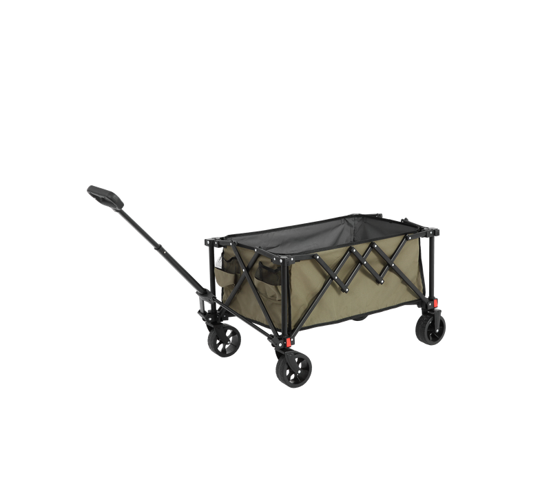 Chariot Pliant 80 L Avec Structure En Acier Vert