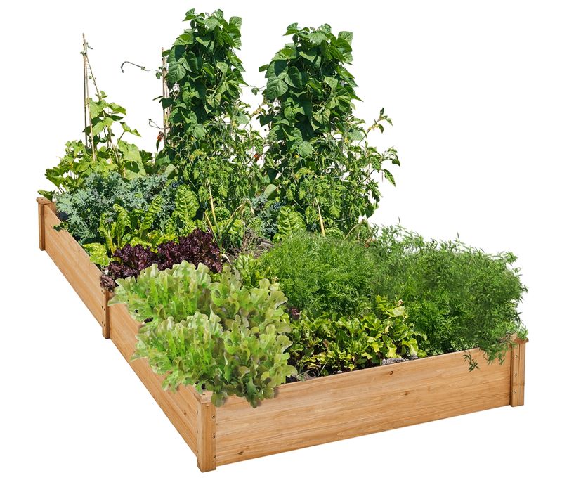 Carré Potager Surélevé Bac Potager En Bois Bac à Fleurs