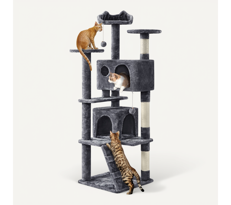 Arbre à Chat Arbre à Grimper Multi-niveaux Hauteur 158cm