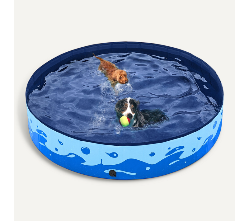 Piscine Pour Chien Pliable, Baignoire Portable Antidérapant Et Résistant, Bleu XXL