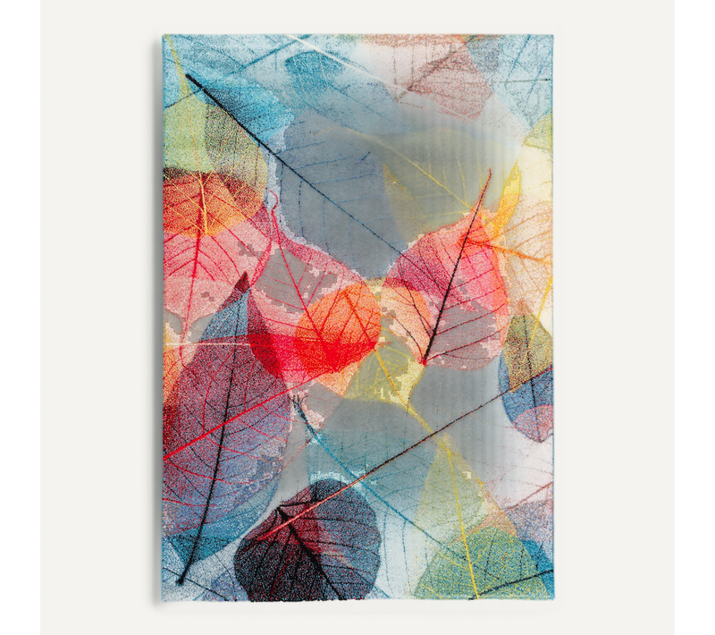 Tapis Faro Tropical Feuilles 120x170cm Multicolore