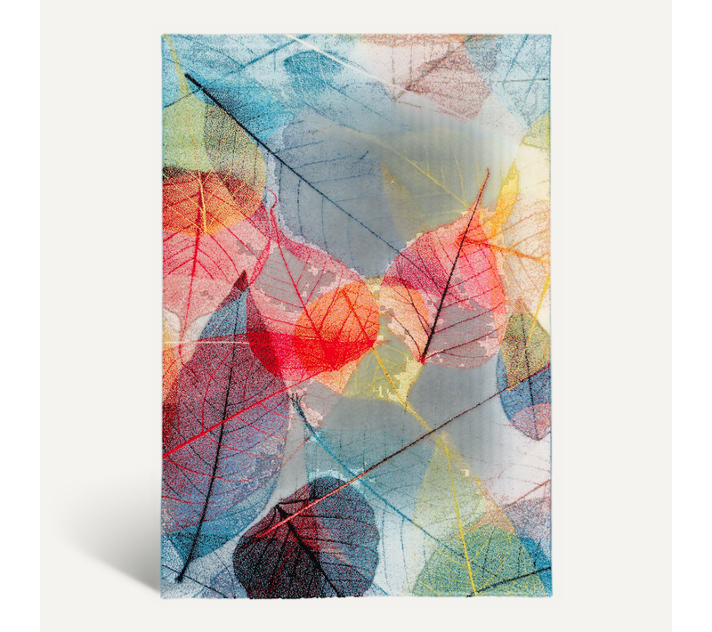 Tapis Faro Tropical Feuilles 200x290cm Multicolore