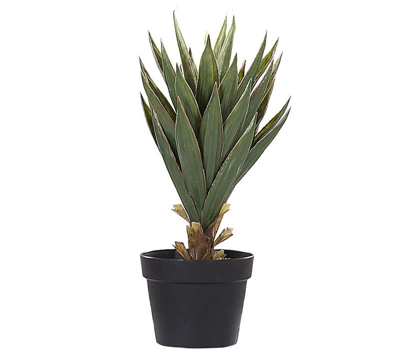 Plante Artificielle 52 Cm Avec Pot Yucca