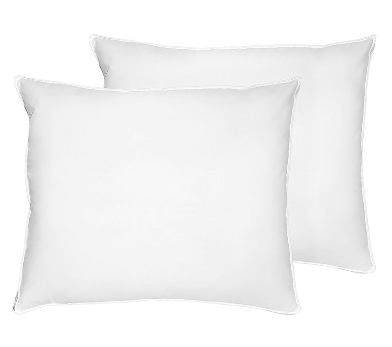 Lot De 2 Oreillers En Plumes Et Duvet De Canard 50 X 60 Cm Feldberg