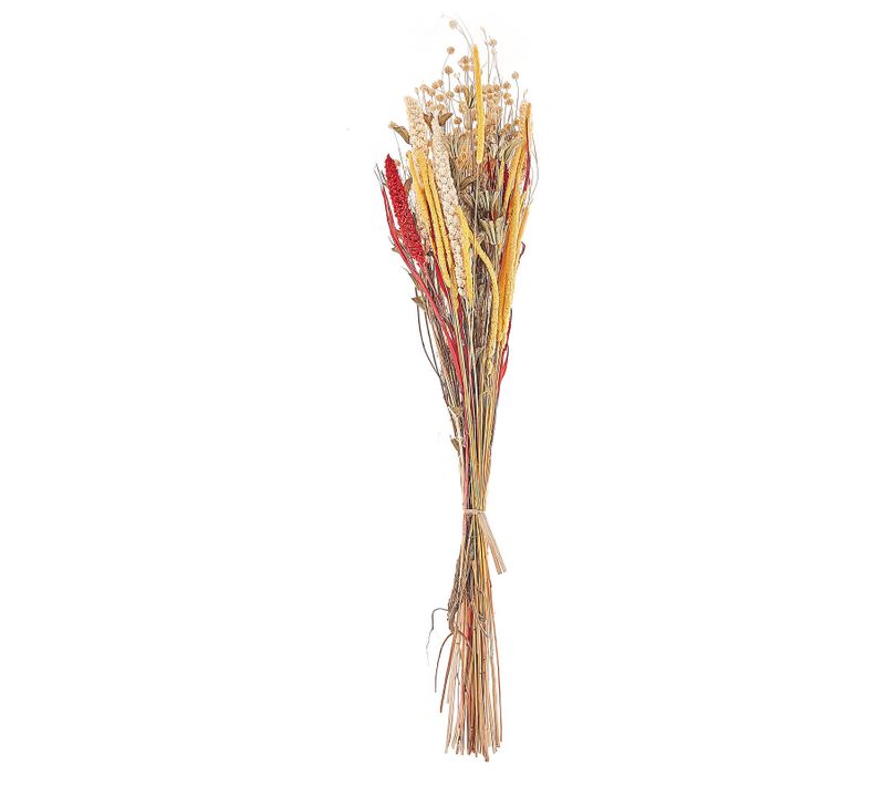 Bouquet De Fleurs Séchées 65 Cm Rouge Et Jaune Pampeluna