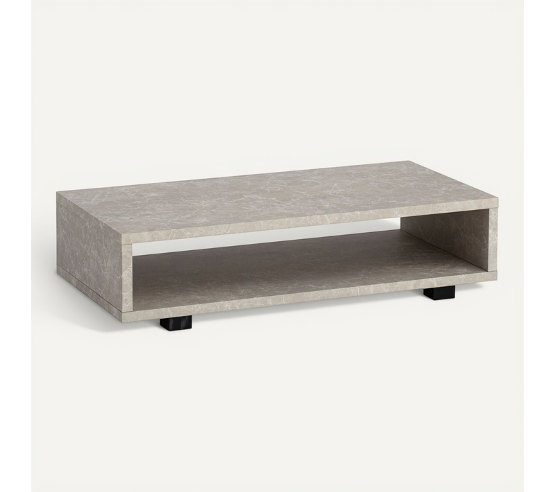 Table Basse De Salon 100 Cm Grande Moderne Rangement Rectangulaire