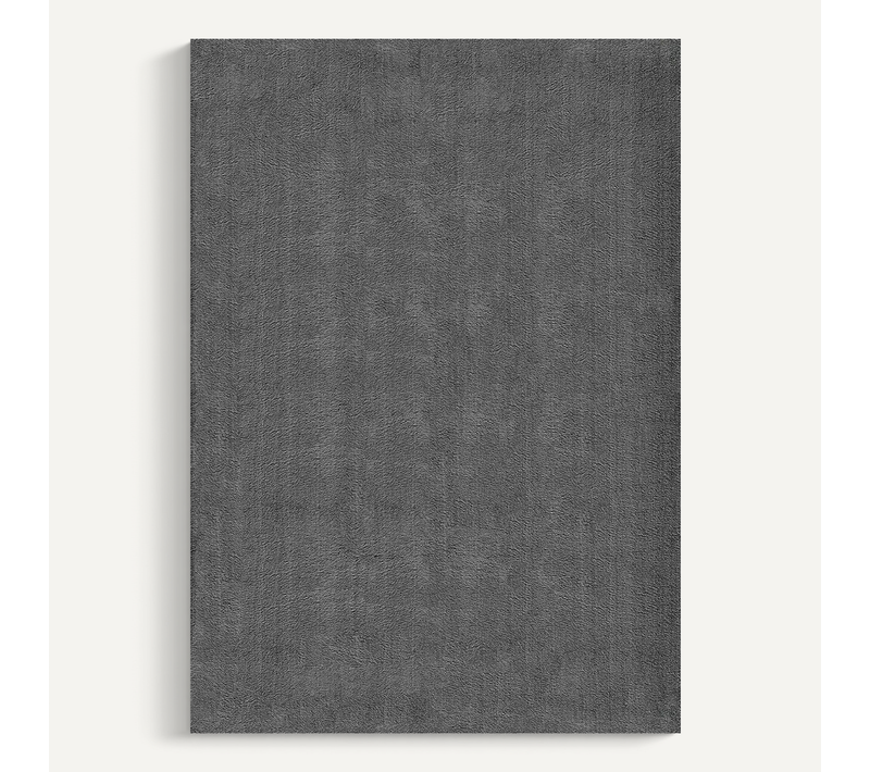 Tapis Moelleux Poils Courts, Antidérapant, Lavable, Soft, Anthracite, 240 X 340 Cm