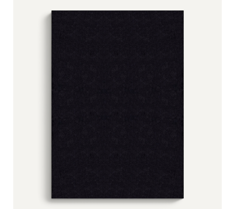 Tapis Moelleux Poils Courts, Antidérapant, Lavable, Soft, Noir, 60 X 110 Cm