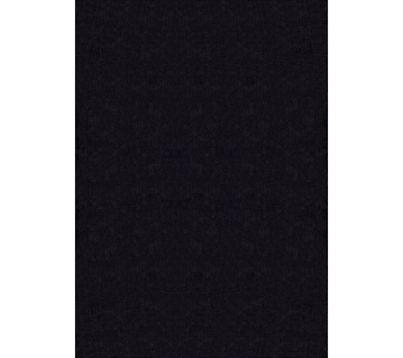 Tapis Moelleux Poils Courts, Antidérapant, Lavable, Soft, Noir, 240 X 340 Cm