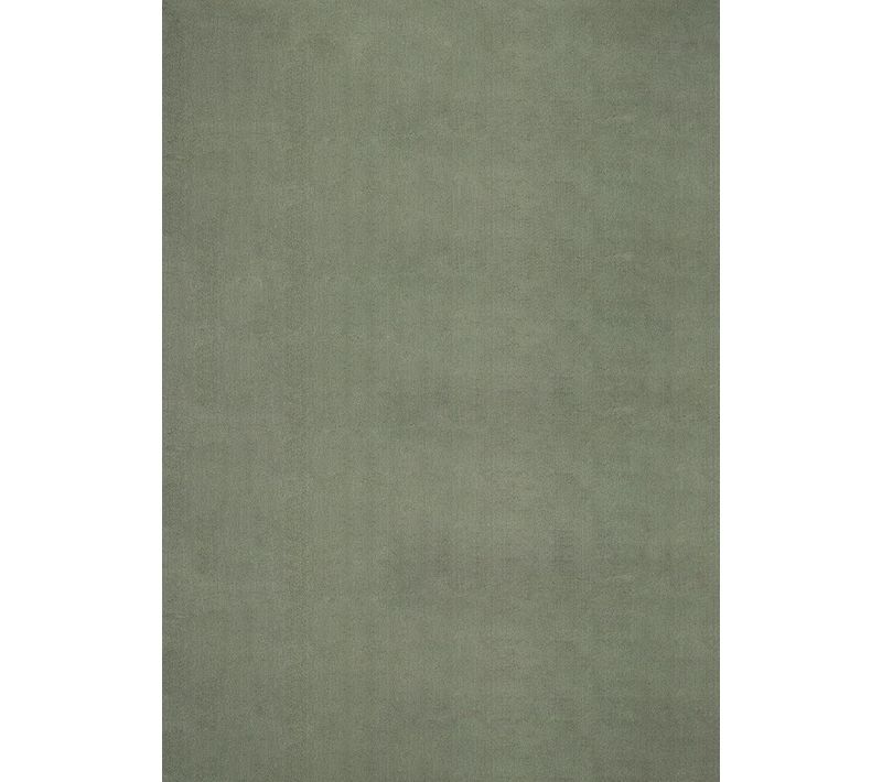 Tapis Moelleux Poils Courts, Antidérapant, Lavable, Soft, Forêt, 140 X 200 Cm