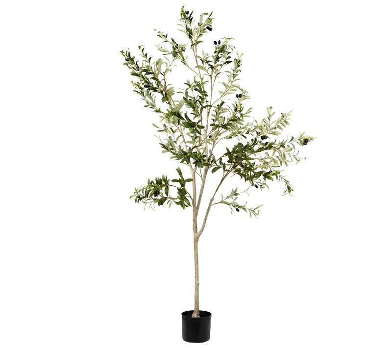 Plante Artificielle Olive Tree 178 Cm Vert