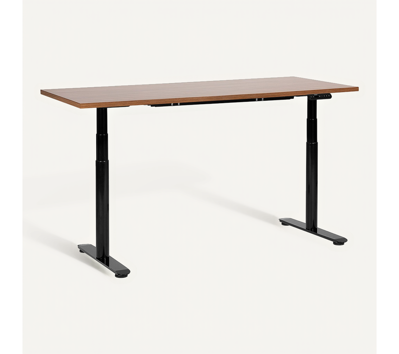 Table à Hauteur Ajustable Électrique 160 X 72 Cm Tailles Différentes