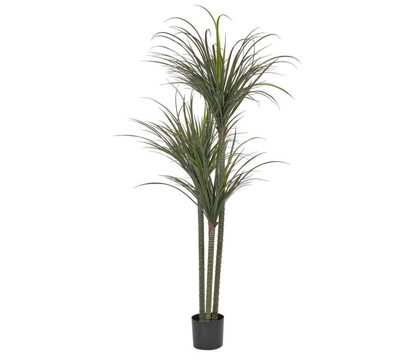 Plante Artificielle 198 Cm Dracaena Anita