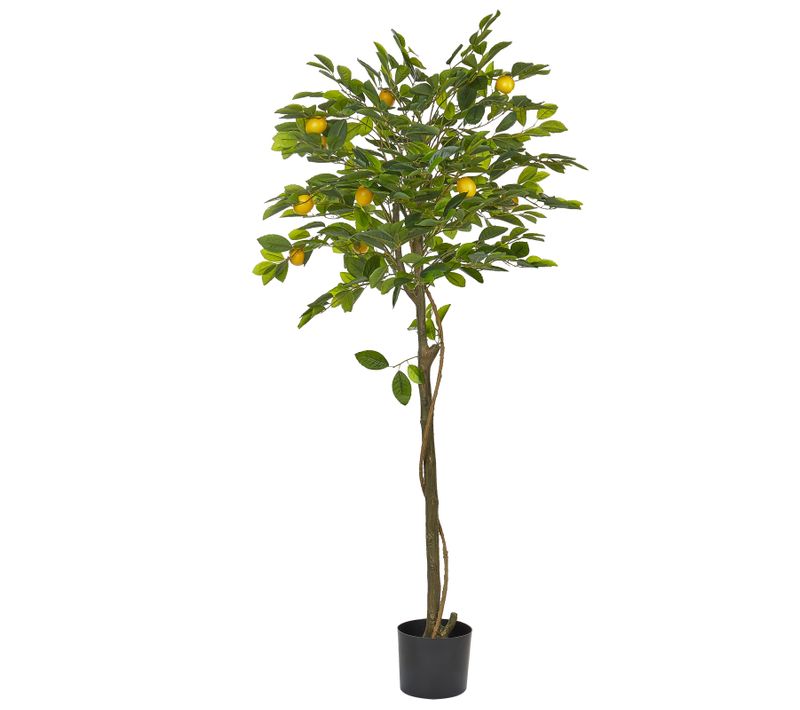 Plante Artificielle 156 Cm Lemon Tree