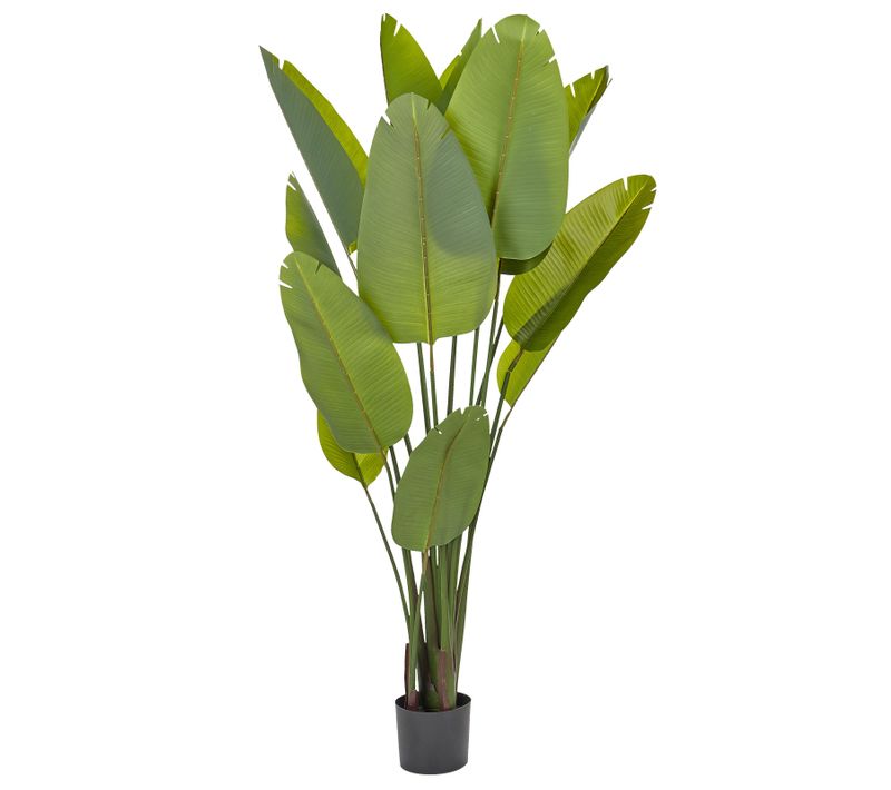 Plante Artificielle Bananier Avec Pot 187 Cm Banana Tree
