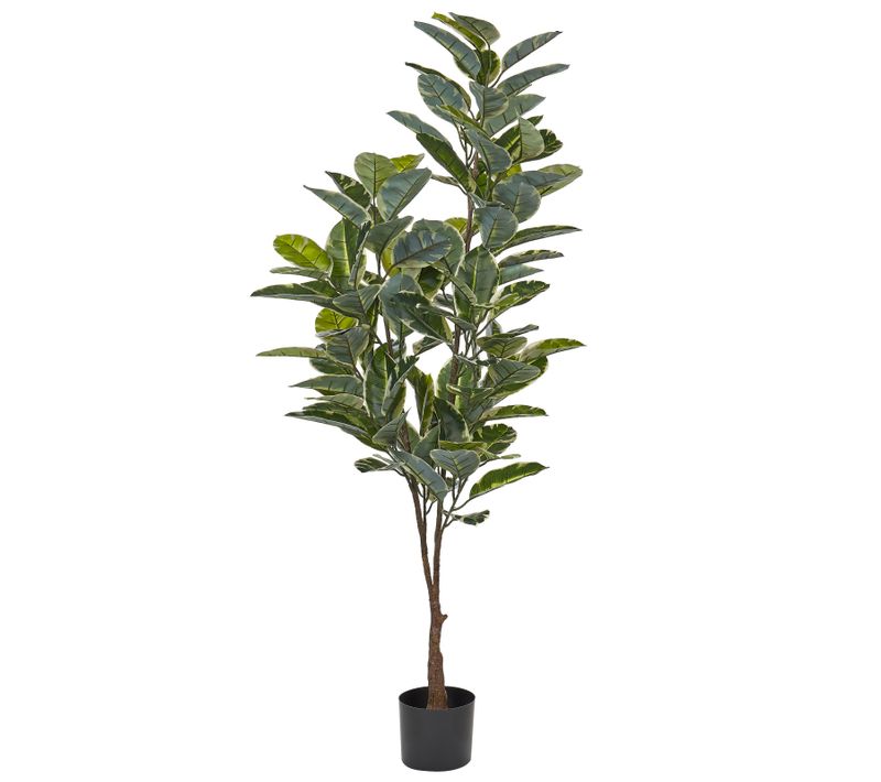 Plante Artificielle 160 Cm Ficus Elastica