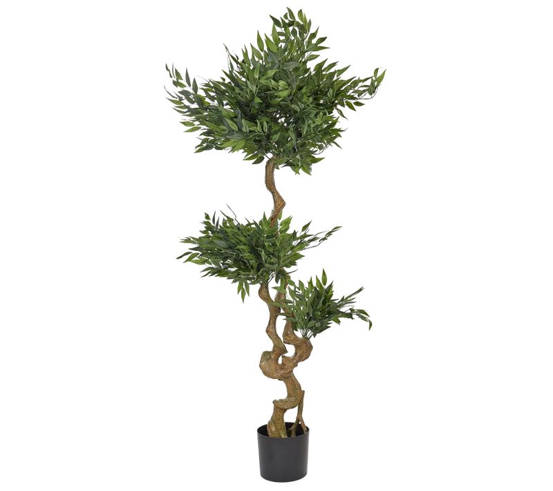 Plante Artificielle 166 Cm Ruscus Tree
