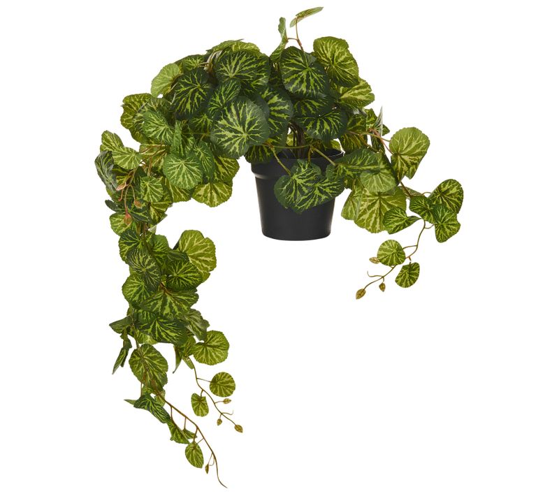 Plante Artificielle En Pot Suspendue Strawberry Begonia 37 Cm Vert