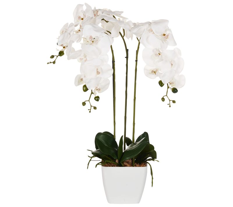 Plante Artificielle Orchid 59 Cm Blanc