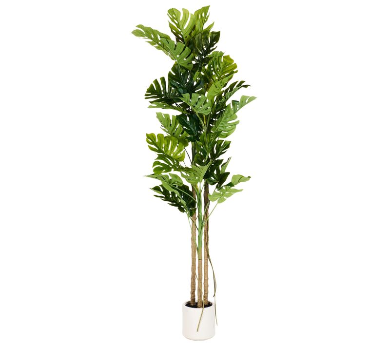 Plante Artificielle Monstera Plant 221 Cm Vert