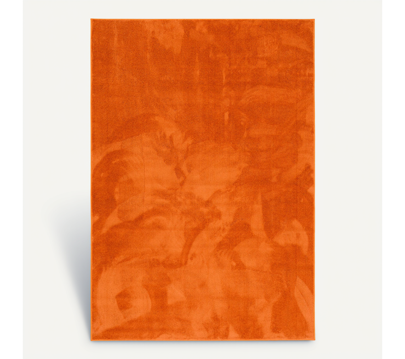 Tapis à Poils Longs Melia 80x150cm Orange
