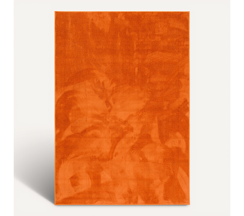Tapis à Poils Longs Melia 120x170cm Orange