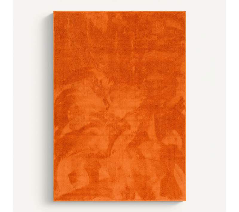 Tapis à Poils Longs Melia 140x200cm Orange
