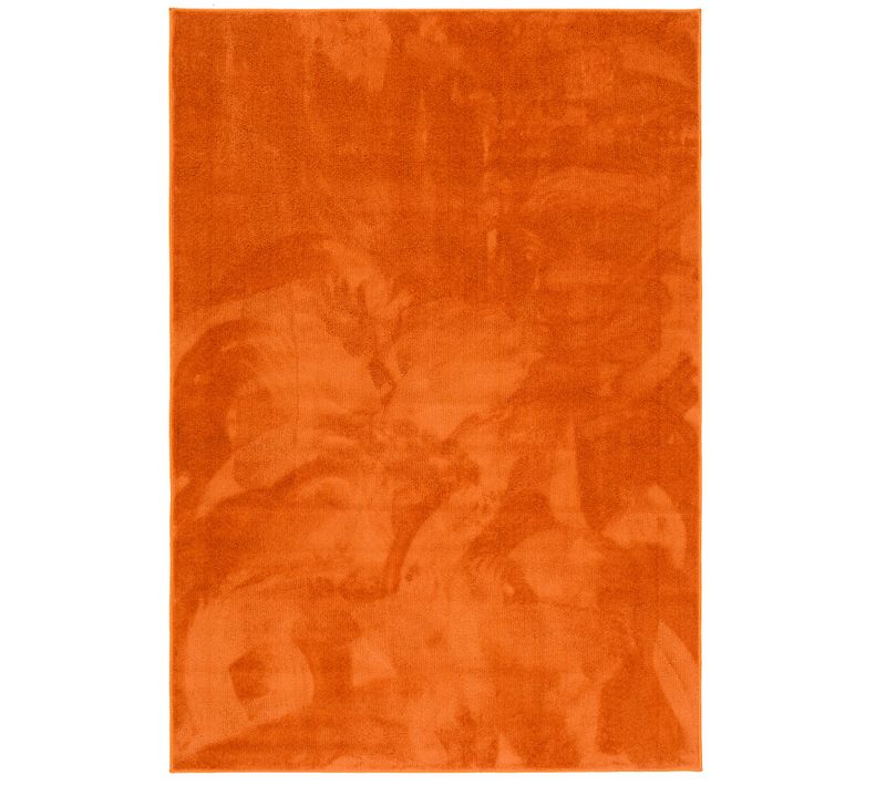 Tapis à Poils Longs Melia 200x290cm Orange