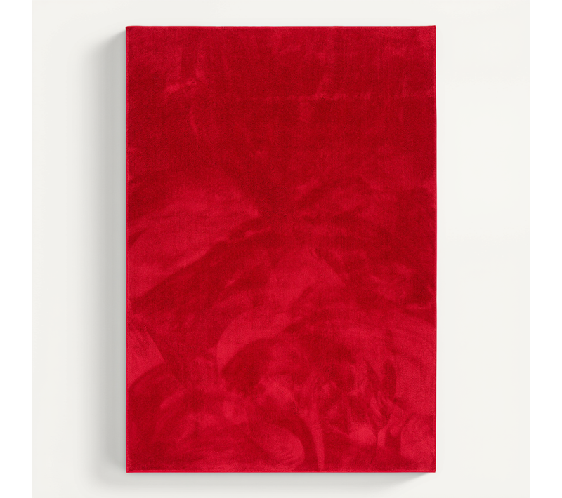 Tapis à Poils Longs Melia 160x230cm Rouge