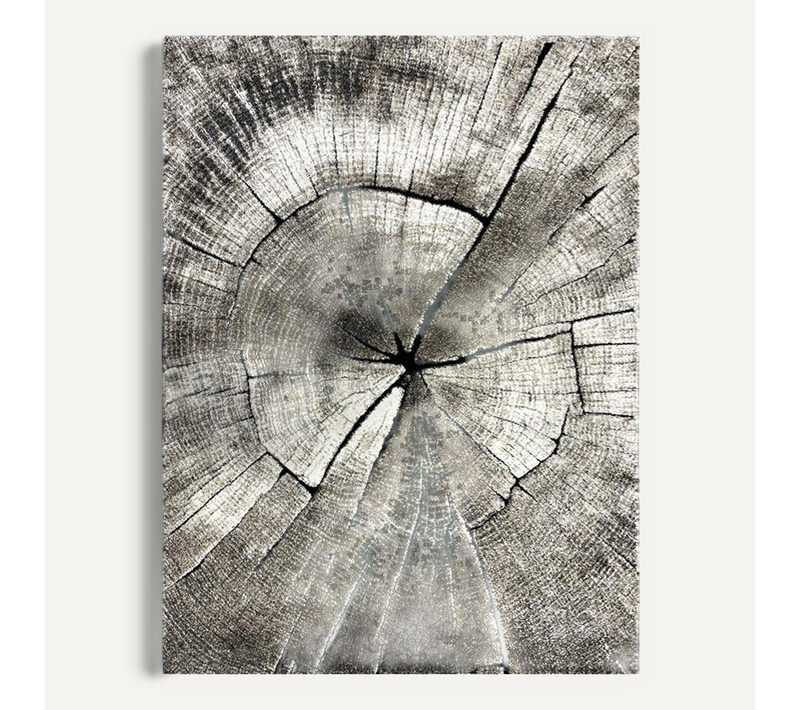 Tapis Marla Design Moderne Arbre, Nature, 160x230 Cm