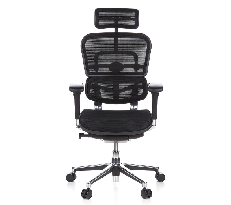 Siège De Direction De Luxe Ergohuman Noir