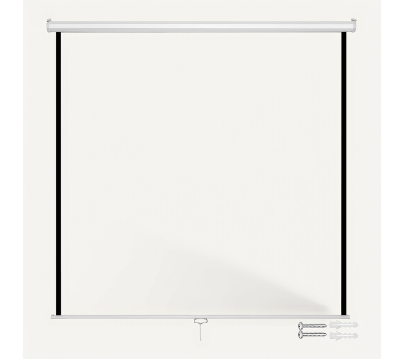 1 écran De Projection En Polyester Blanc