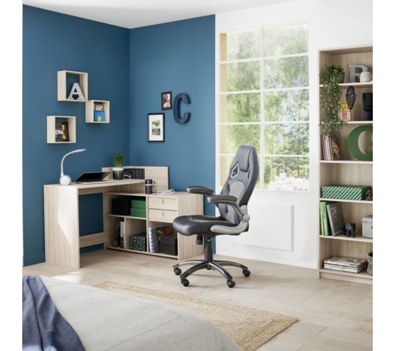 Fauteuil de bureau Carbon Noir et gris