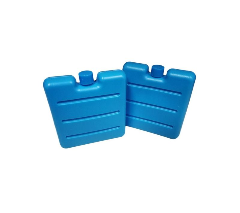 Lot De 2 Pains De Glace Pour Glacière Et Lunch Bag Fackelmann